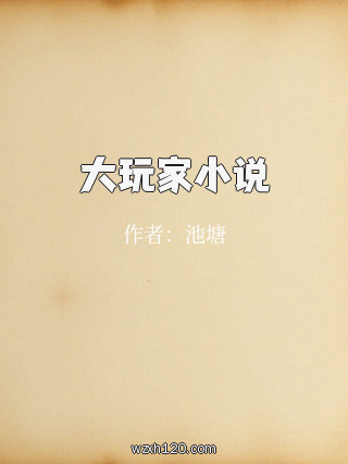 大玩家小说
