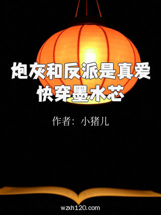 炮灰和反派是真爱快穿墨水芯