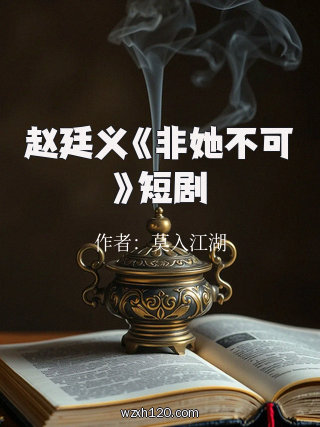 赵廷义《非她不可》短剧