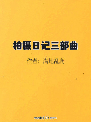 拍摄日记三部曲