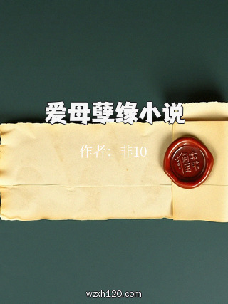 爱母孽缘小说