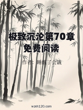 极致沉沦第70章免费阅读