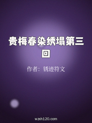 贵梅春染绣塌第三回