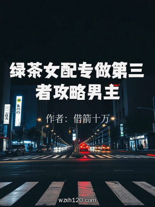 绿茶女配专做第三者攻略男主