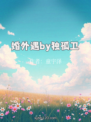 婚外遇by独孤卫