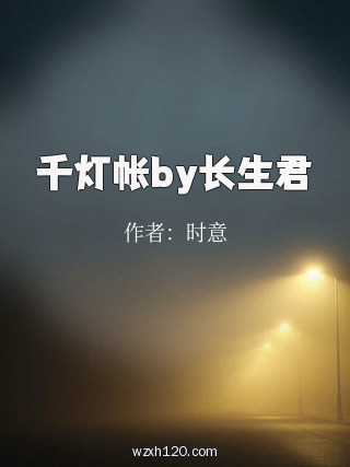 千灯帐by长生君