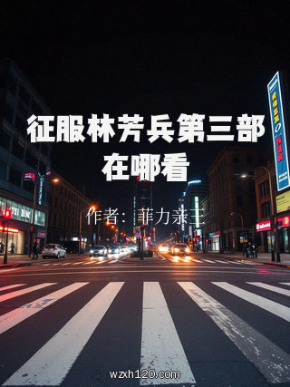 征服林芳兵第三部在哪看