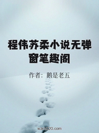 程伟苏柔小说无弹窗笔趣阁
