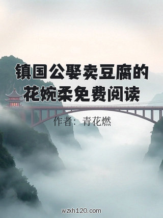 镇国公娶卖豆腐的花婉柔免费阅读