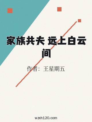 家族共夫 远上白云间