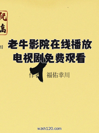 老牛影院在线播放电视剧免费观看