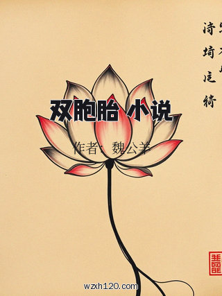 双胞胎 小说