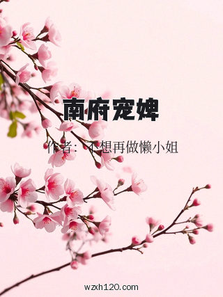 南府宠婢