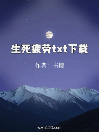 生死疲劳txt下载
