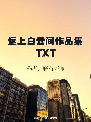 远上白云间作品集TXT