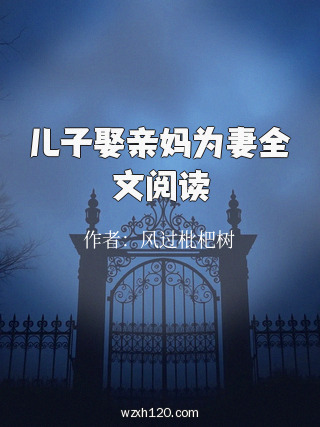 儿子娶亲妈为妻全文阅读