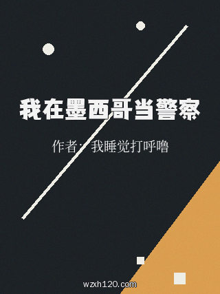 我在墨西哥当警察