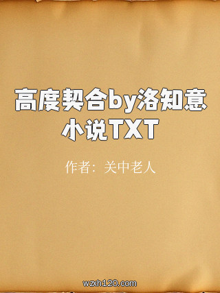 高度契合by洛知意小说TXT