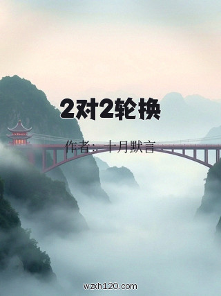 2对2轮换