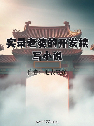实录老婆的开发续写小说