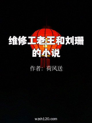 维修工老王和刘珊的小说