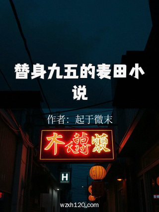 替身九五的麦田小说