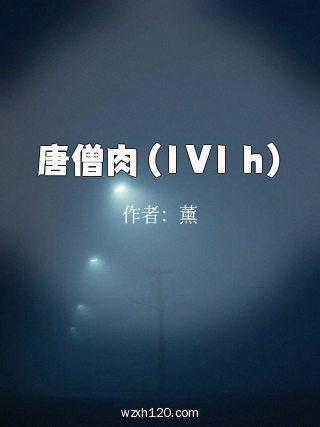 唐僧肉 (1V1 h)