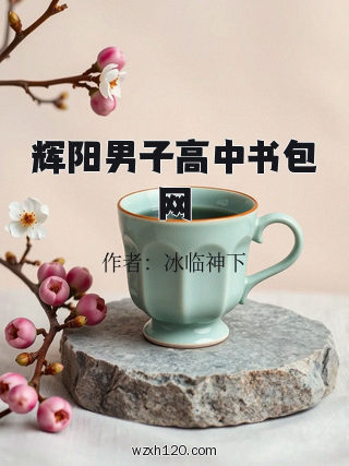 辉阳男子高中书包网