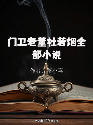 门卫老董杜若烟全部小说