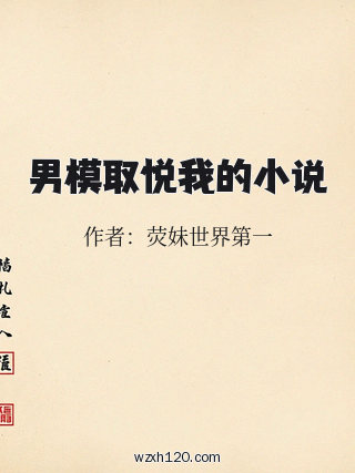 男模取悦我的小说