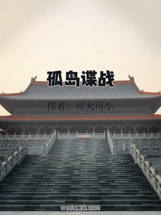 孤岛谍战