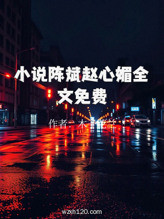 小说陈斌赵心媚全文免费