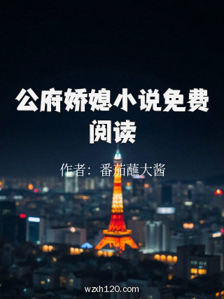 公府娇媳小说免费阅读