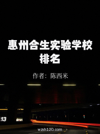 惠州合生实验学校排名