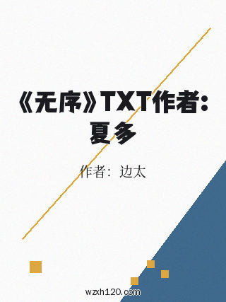 《无序》TXT作者:夏多