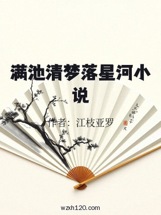 满池清梦落星河小说