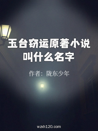 玉台窃运原著小说叫什么名字