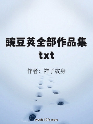 豌豆荚全部作品集txt