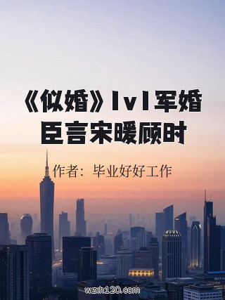 《似婚》1v1军婚臣言宋暖顾时