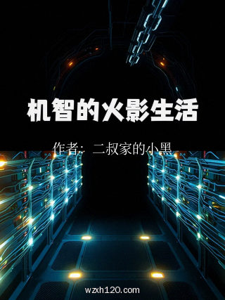 机智的火影生活