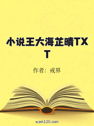 小说王大海芷晴TXT