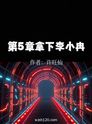 第5章拿下李小冉