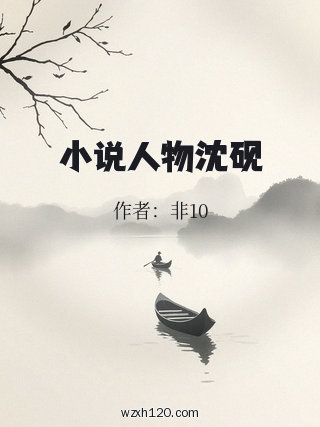 小说人物沈砚