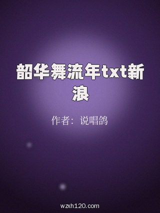 韶华舞流年txt新浪