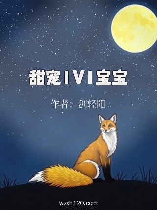甜宠1V1宝宝