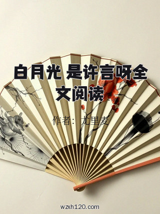 白月光 是许言呀全文阅读