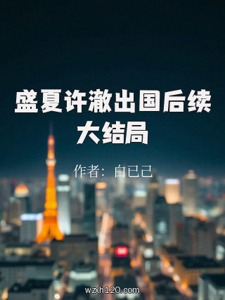 盛夏许澈出国后续大结局
