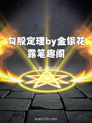 勾股定理by金银花露笔趣阁