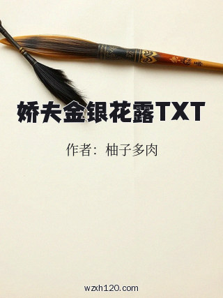 娇夫金银花露TXT