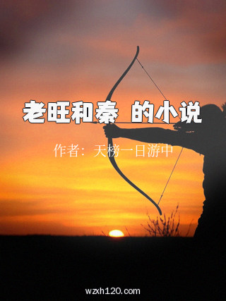 老旺和秦玥的小说
